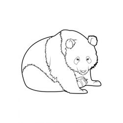 Panda #7511