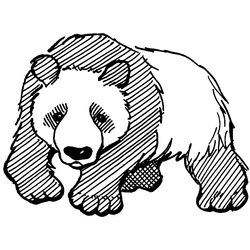 Panda #7517