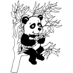 Panda #7524