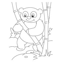 Panda #7528