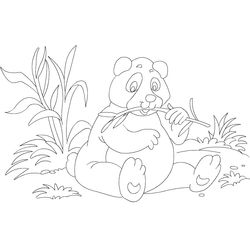 Panda #7534