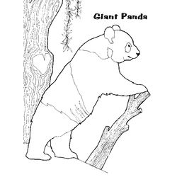 Panda #7541
