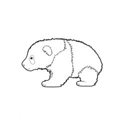 Panda #7548
