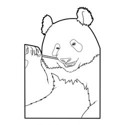 Panda #7552