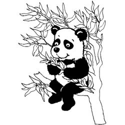 Panda #7553