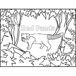 Panda #7559