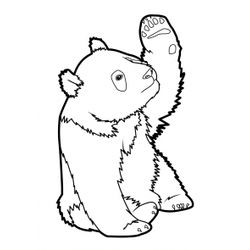 Panda #7561