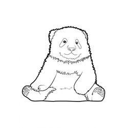 Panda #7576