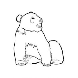 Panda #7578