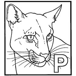 Pantera #7597