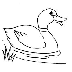 Pato #7640