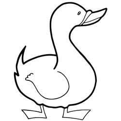 Pato #7641