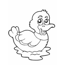 Pato #7643