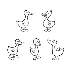 Pato #7645