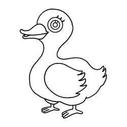 Pato #7646