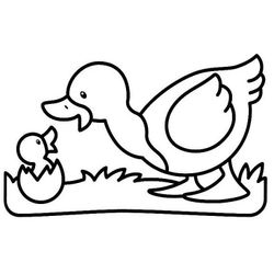 Pato #7647