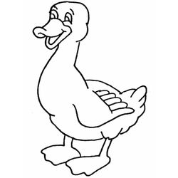Pato #7648
