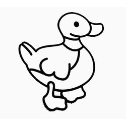 Pato #7653