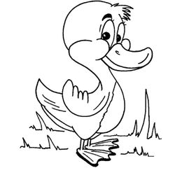 Pato #7656