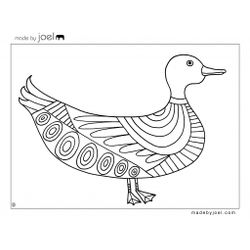 Pato #7668