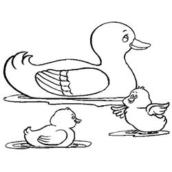 Pato #7669