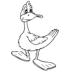 Pato #7674