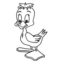 Pato #7676