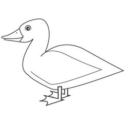 Pato #7683