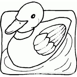 Pato #7684