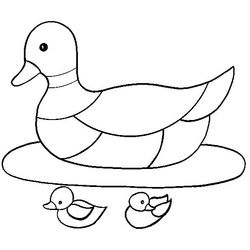Pato #7689