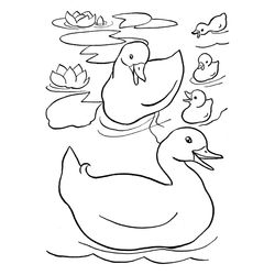 Pato #7692