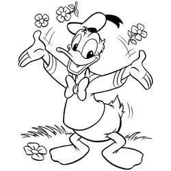 Pato #7693
