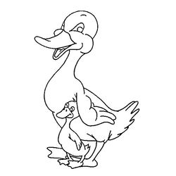 Pato #7698