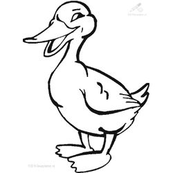 Pato #7700
