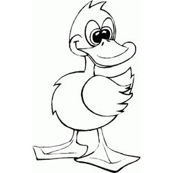 Pato #7703