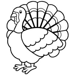 Pavo #7709