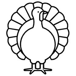 Pavo #7711