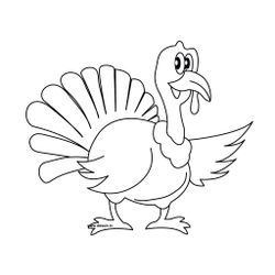 Pavo #7712