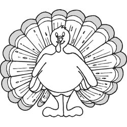 Pavo #7715