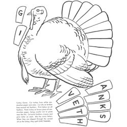 Pavo #7716