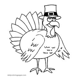 Pavo #7724