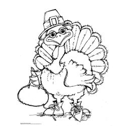 Pavo #7727