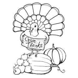 Pavo #7736