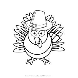 Pavo #7742