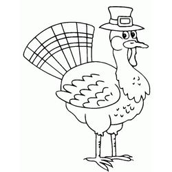 Pavo #7743