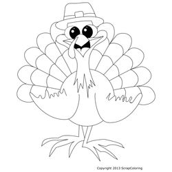 Pavo #7750