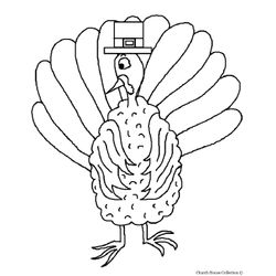 Pavo #7752