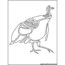 Pavo #7759
