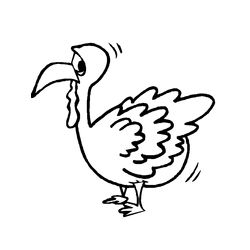 Pavo #7761