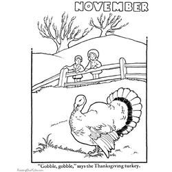Pavo #7766